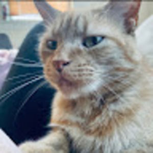 Meet your Posher, Riley